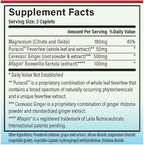 MigreLief-Now Fast-Acting Formula, As-Needed Nutritional Support for Migraine and Headache Sufferers - 60 Vegetarian Capsules