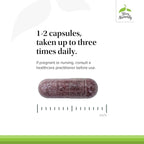 Terry Naturally Tart Cherry - Antioxidant Supplement to Support Healthy Uric Acid Balance & Joint Health - Nutritional Supplement - Dietary Supplement to Aid Recovery After Exercise - 120 Capsules