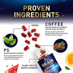 Brain Supplements for Memory and Focus with Phosphatidylserine, Nootropic Memory Supplement Gummy for Brain Health, Concentration, Mental & Cognitive Support, Focus Vitamins with B6 & B12-60 Gummies