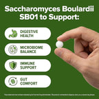 Saccharomyces Boulardii Probiotic 240 Tablets (4 Month Supply) – Researched Strain SB01 – 3 Billion CFU – Digestive Health & Gut Support – GMP Certified (240, Saccharomyces Boulardii)