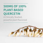 Garden of Life Quercetin Once Daily Immune System Support Supplement with Vitamin C, D & Probiotics – Dr Formulated – Immune Health, Respiratory and Skin Health, Gluten Free, Non GMO – 30 tablets