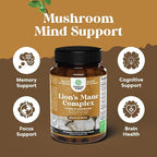 Bundle of Nootropic Memory Supplement with Vitamin B 12 Bacopa Monnieri Rhodiola Rosea DMAE Ginkgo Biloba and Advanced Lion's Mane Mushroom Supplement - Reishi Chaga Maitake Shiitake for Brain Support