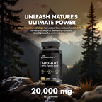 Shilajit Capsules 20,000mg – Pure Himalayan Shilajit for Men & Women – Organic Fulvic Acid Supplement with 85+ Trace Minerals – High Potency Natural Energy & Vitality Support – 120 Vegan Capsules