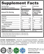 DR. MORITZ Sugar-Free Calm Magnesium Gummies for Kids and Adults - Non-GMO Magnesium Citrate Gummies - Raspberry Flavor - 1-Pack (60 Count)