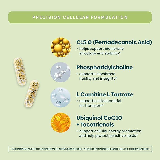 C15:0 Pentadecanoic Acid Supplement | Longevity, Cellular & Membrane Support, Micro-Granule Enhanced Absorption, Phosphatidylcholine, L-Carnitine, Ubiquinol CoQ10 & Tocotrienols – 120ct