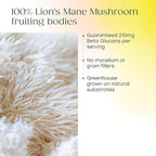 MegaFood Superfood Mushroom Focus Support - Lions Mane Supplement Capsules - Doctor Formulated – Lion’s Mane Mushroom Supplement with Clinically Studied Bacopa - Vegan - 60 Capsules, 30 Servings