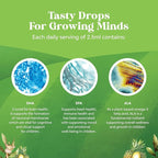 Kids DHA Omega 3 Drops - Fatty Acids Omega 3 6 9 for Brain, Immune Strength & Vision - Nutritional DHA for Kids for Healthy Nervous System & Focus Support - Liquid Supplement with EPA & ALA - 2 Fl Oz