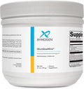 XYMOGEN GlutAloeMine - 3 g L-Glutamine with Aloe Vera Extract - GI Lining & Digestive Wellness Support Prebiotic Gentle Gut Health Powder - Vegan & Non-GMO - 6.1 oz (30 Servings)
