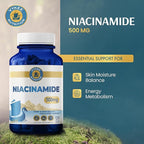 Vykee Nutrition Niacinamide Capsules - Vitamin B3 Supplement for Skin Wellness Cellular Energy and Metabolic Support - Vegan, Non-GMO Gluten Free - 500 mg 120 Count