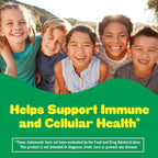 L'il Critters Kids Immune C Gummy Supplement with Vitamin C, Zinc and Vitamin D3 for Immune Support, 190 ct (95-190 day supply), 4 delicious flavors from America’s Number One Gummy Vitamin Brand