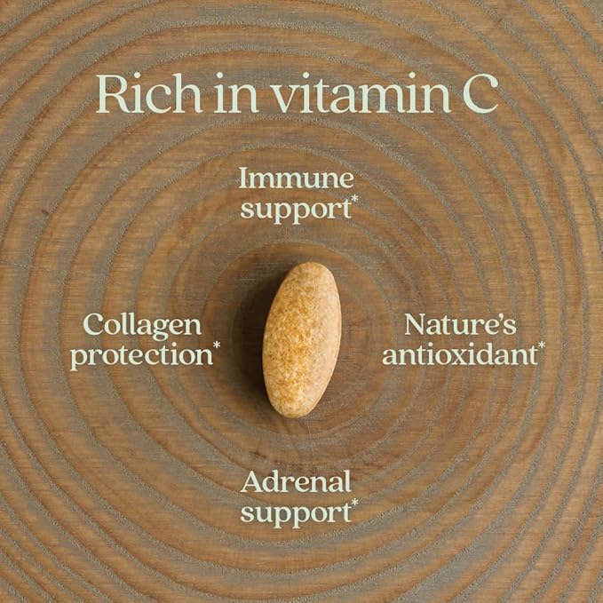 New Chapter Fermented Vitamin C + Elderberry, ONE Daily for Immune Support & Collagen Protection, Made with Organic Herbs, Certified Vegan, Gluten Free, 60 Count