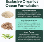 Organics Ocean Better Fiber - Daily Fiber Supplement - Soften Stool for Effortless Bowel Movements - with Psyllium Hulk and Slippery Elm - 3 Bottles