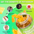 Potassium Citrate Gummies, High Potassium Supplement Gummies 1200mg Support Leg Cramps & Muscle Health, for Adults & Kids, Vegan, Pineapple Flavor 120 Count