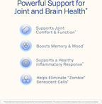 ProHealth Turmeric Curcumin Supplement: 285 Times More Bioavailable- Developed by Neuroscientists. 1000 mg Concentrated Longvida Curcumin Extract Per Serving (60 X 500mg Capsules/Bottle) 2 Pack