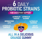 Probiotic Gummies - 6 Premium Probiotic Strains - Daily Gut Health Pro Biotic Gummy Supplement for Women, Men & Teens, Natural Digestive Health Support, “Good” Gut & Immune Support - 120 Gummies