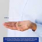 Pure Encapsulations G.I. Fortify (Capsules) | Supports G.I. Function, Motility and Detoxification | 120 Capsules
