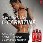 iSatori L-Carnitine LS3 3000, Liquid L-Carnitine with Acetyl L-Carnitine, L-Carnitine L-Tartrate, Stimulant Free Pre Workout, Low Calories, Sugar, Gluten, Keto-Friendly, Bombsicle Flavor (32 Servings)