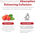 Liquid Iron Supplement | Organic Certified, Berry Flavor - Whole Food Vitamin C Absorption Boost & Blood Building B Vitamins - Methyl B12, L-Methylfolate & B6 - Supports Healthy Iron Levels - 7.6 oz