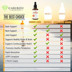 Liquid Turmeric Curcumin with Bioperine for Enhanced Absorption - Turmeric Curcumin Supplement for Joint Support - Turmeric Extract with Black Pepper - 2 Month Supply - 4oz