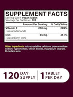 Iron Supplement for Women Men, High Potency Iron 65mg with Vitamin C 250mg, Stomach Friendly Iron Pills for Red Blood Cell & Immune Support, Vegan, Non-GMO & Gluten Free,120 Vegan Tablets