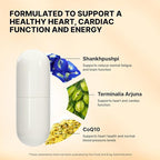 Nature's Pure Blend CoQ10 Plus – Antioxidant Formula with Arjuna & Shankhpushpi – CoQ10 Ubiquinol for Circulation, Blood Flow & Energy – Coenzyme Q10 Supplement for Immune System – 60 Capsules