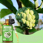 Soursop Graviola Leaf Extract Liquid Drop