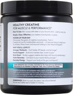 TERRA ORIGIN Creatine Monohydrate Powder | 45 Servings | Micronized Creatine Supplement | Unflavored, Pure Creatine for Women & Men | Gluten Free, Sugar Free, Made in USA