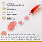 Premier Research Labs B12-ND - Vitamin B12 Liquid, B12 Vitamins, B12 Drops, B-12 Tincture with Methylcobalamin, Adenosylocobalamin, Hydroxcobalamin, 1000 mcg B12 Per Serving - 2 Fl Oz