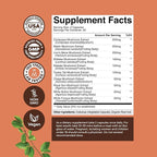Bundle of Nootropic Brain Supplement - Mental Health & Clarity with VIT A B6 Riboflavin Niacin Thiamin Folate and Advanced Mushroom Complex Capsules - 10X Lions Mane with Reishi Chaga Maitake Shiitake