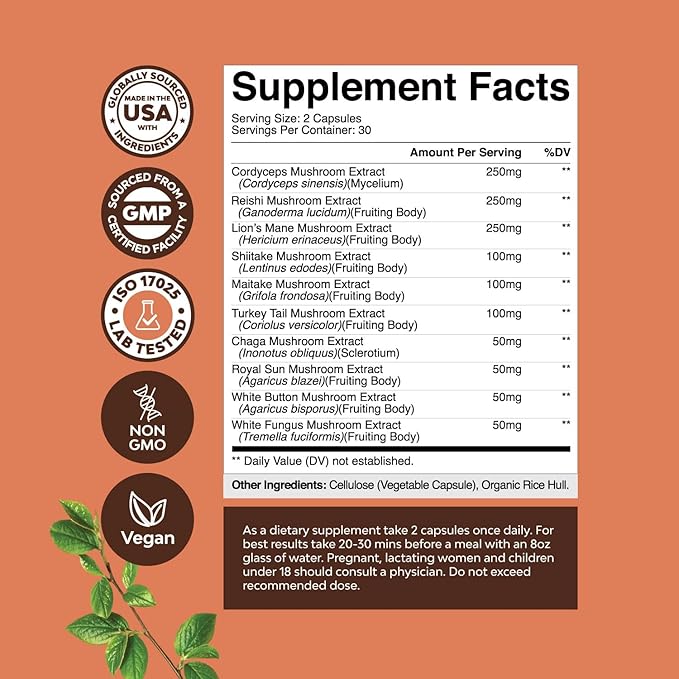 Bundle of Nootropic Brain Supplement - Mental Health & Clarity with VIT A B6 Riboflavin Niacin Thiamin Folate and Advanced Mushroom Complex Capsules - 10X Lions Mane with Reishi Chaga Maitake Shiitake