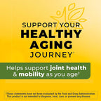 Nature Made High Absorption Turmeric Curcumin Supplement Capsules, Turmeric Supplement, Muscle and Joint Support, 30 Capsules, 30 Day Supply