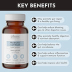 JUST INGREDIENTS Probiotic Complex - 60 Capsules, 5 Billion CFU, Prebiotics, Gut Health Support