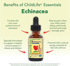 CHILDLIFE ESSENTIALS Echinacea for Kids - Kids Echinacea Drops, Liquid Tincture, Alcohol Free Supplement for Babies, Toddlers, Children - Natural Orange, 1 Fl Oz (Pack of 3)