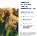 Designs for Health Quercetin + Nettle Supplement - Nettle Leaf + Quercetin Supplements with Flavonoids - Powerful Antioxidants for Immune Support (90 Vegan Capsules)