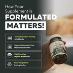 MycoMax Lions Mane Supplement - 70% Beta Glucans, Max Potency Organic Lion’s Mane Extract, US Grown + Ultrasonic Extraction - 500 mg serving - Supports Mental Clarity, Focus and Memory - 60 Capsules