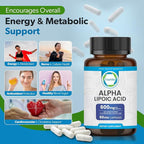 Alpha Lipoic Acid 600mg – ALA Supplement for Energy & Metabolism Support – Antioxidant for Cellular Wellness, Healthy Aging & Immune Balance – Alpha Lipoic Acid - 60 Capsules, Made in USA
