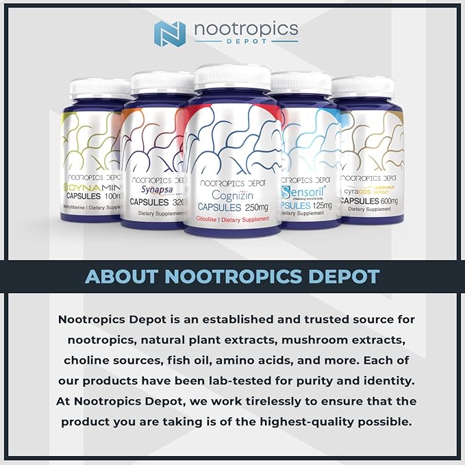 Nootropics Depot Curcumin + Piperine Capsules | 1000mg Curcumin + 6mg Piperine | 180 Count