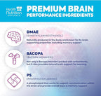 Brain Memory Supplement - 3X Strength Nootropics for Concentration, Clarity & Focus Support - Brain Health Cognitive Vitamins with Bacopa, Phosphatidylserine & DMAE, Brain Booster, 120 Capsules