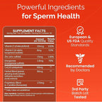 CONCEIVE PLUS Motility Support for Men | Boost Sperm Volume & Count | Spermidine Supplements with Vitamin D, E, Zinc, Antioxidants – Multivitamin Fertility Supplements for Men, 60 Caps