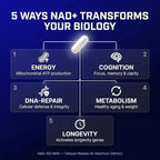 NMN Supplement 500mg - Delayed Release NAD+ for Longevity & Energy - Pure Nicotinamide Mononucleotide for Cellular Repair - High Absorption NMNH Alternative - 60 Day Supply
