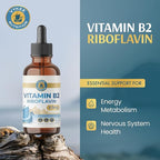 Vykee Nutrition Vitamin B2 Riboflavin Drops - Liquid B2 Supplement for Energy Metabolism, Cellular Function and Vision Support - Vegan, Non-GMO, Gluten-Free, GMP Certified - 6.5 mg, 30 Servings