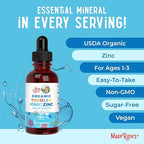 MaryRuth Organics USDA Toddler Liquid Drops | Zinc Sulfate | Immune Support Supplement| Skin Health | Vegan | Formulated for Ages 1-3 | Delicious Berry Flavor | 1 Month Supply | 2 Fl Oz