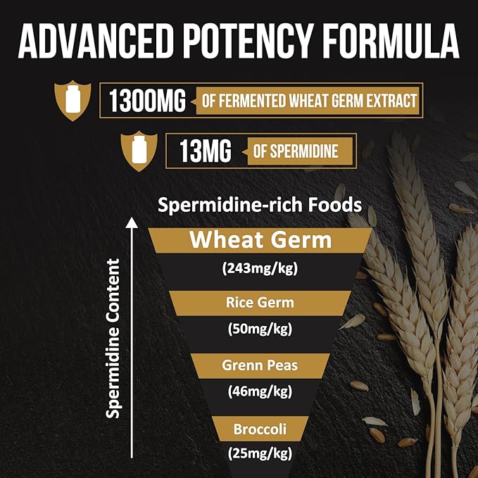 Spermidine Wheat Germ Extract Capsules - 13mg Spermidine Supplements 1300mg Potent Formula with Higher Spermidine Content and Zinc for Healthy Aging, Daily Immune System and Cell Renewal,6 Pack