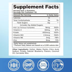 Iron Gummies for Women & Men - Iron Supplement with Vitamin B6, B12, C, Zinc, Folate for Adults & Kids - Support Iron Deficiency, Anemia, Energy Boost, Blood Builder - Sugar Free Vegan 60ct Blueberry