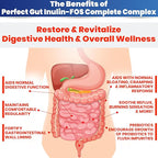 Perfect Gut: Inulin FOS Powder for Gut Health. Prebiotic Inulin. Unique Prebiotic 95% FOS Inulin Agave Fiber