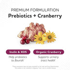 Vaginal Probiotics | 50 Billion CFU for Vaginal Health & pH Balance for Women | Healthy Odor & Yeast Balance | Womens Probiotics and Prebiotics with Cranberry Extract | Gluten-Free, Vegan | 30 Ct