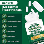 1200MG Vitamin E Tocotrienols Liposomal Tocotrienols Supplement with Phosphatidylcholine, 95% Delta-tocotrienols and 5% Gamma-tocotrienols, High Absorption for Heart, Brain Function 60 Capsules