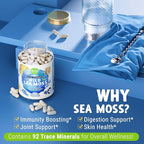 MAJU Wild Irish Sea Moss Capsules (120ct), Stronger Than Gel, 4-in-1 w/Bladderwrack + Burdock Root, Organic, Sebi Inspired, Raw, Seamoss Pills Powder, Wild, (2-Pack)