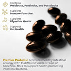 Premier Research Labs Premier Probiotic - Pre Pro Post Biotics for Women & Men, Quad Biotic, Quadbiotic, Prebiotics, Probiotics, Postbiotics & Phytobiotics - 30 Vegetarian Softgel Capsules