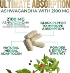 Ashwagandha Supplements - Premium Ashwagandha Capsule for Women & Men, Natural Antioxidant Support Ashwa Root Extract, Extra Strength Calm Support with Black Pepper, Vegan - USA Bottled - 120 Capsules